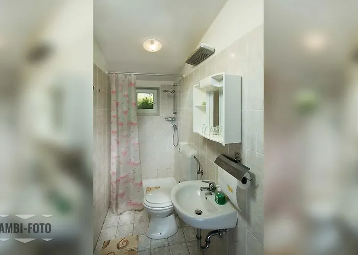 Farm Ferjancic 팜스테이